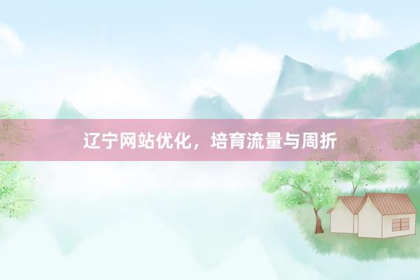 辽宁网站优化，培育流量与周折
