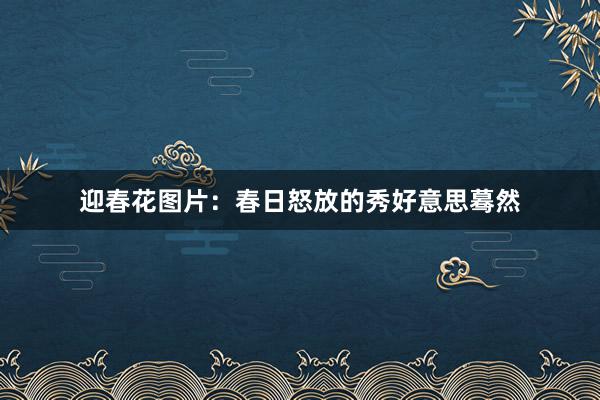 迎春花图片：春日怒放的秀好意思蓦然