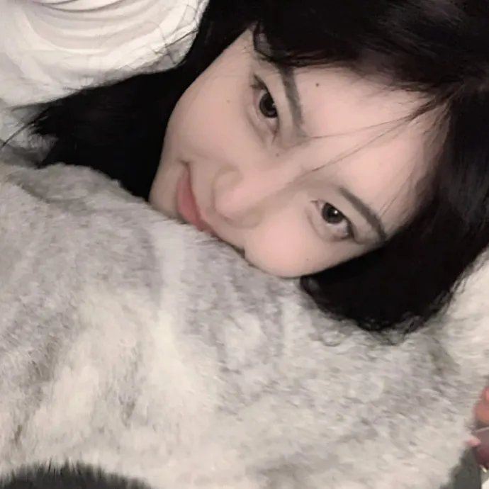 寅次郎的故事20：加油啊！寅次郎