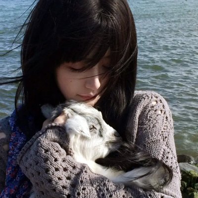 秀逗魔导士Premium